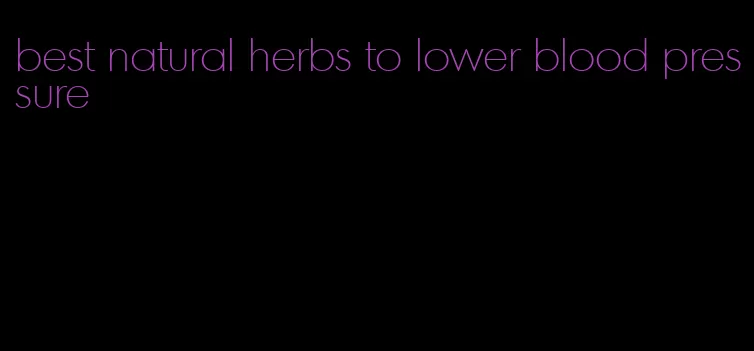 best natural herbs to lower blood pressure