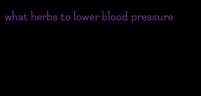 what herbs to lower blood pressure