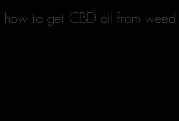 how to get CBD oil from weed